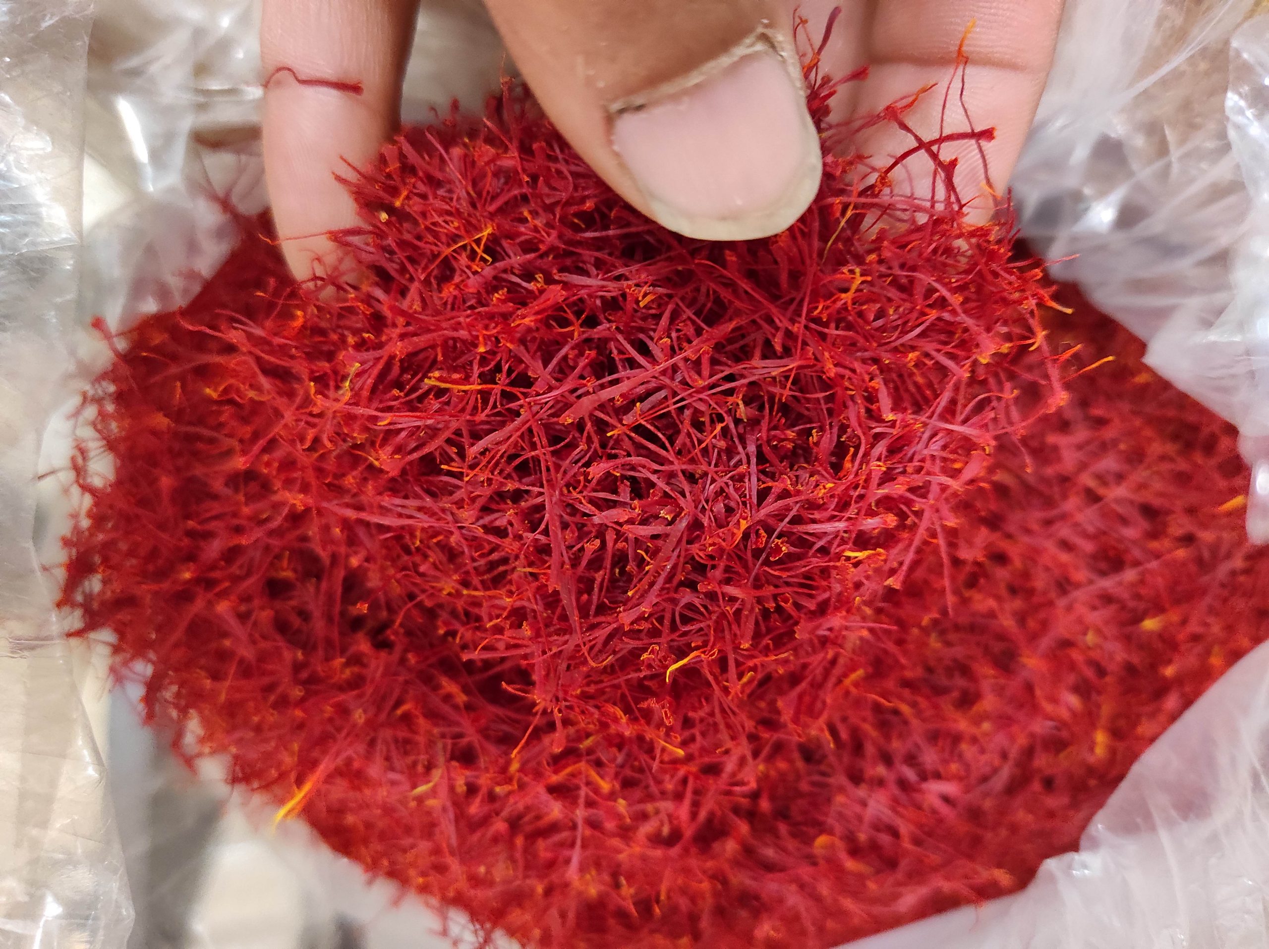 زعفران با وزن ۱ مثقال (۴/۶ گرم) درجه یک صادراتی ممتاز جوین بشرط اصالت و عطر و رنگ